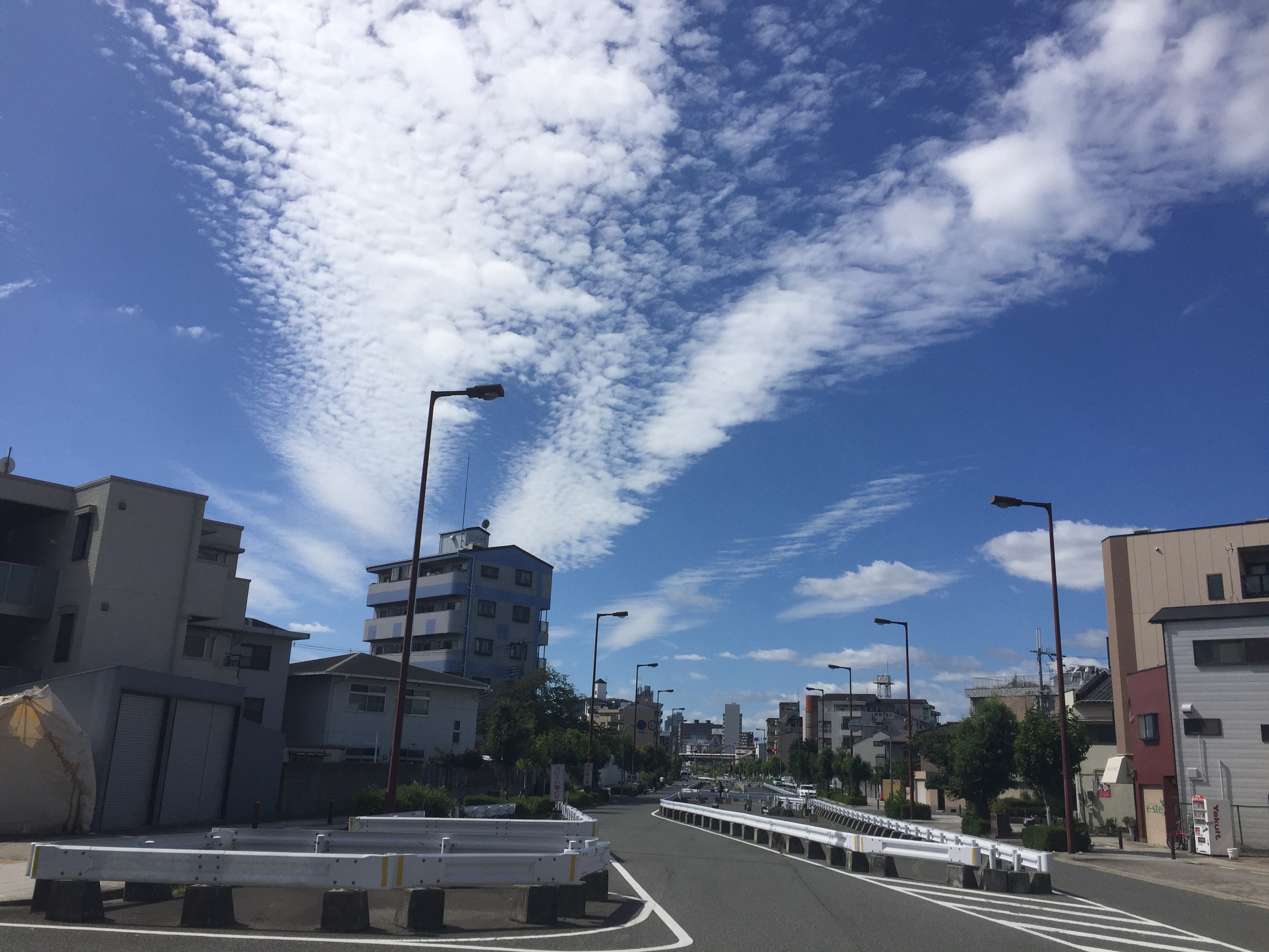 特集　東洋医学的五臓とは②　肝臓（青）