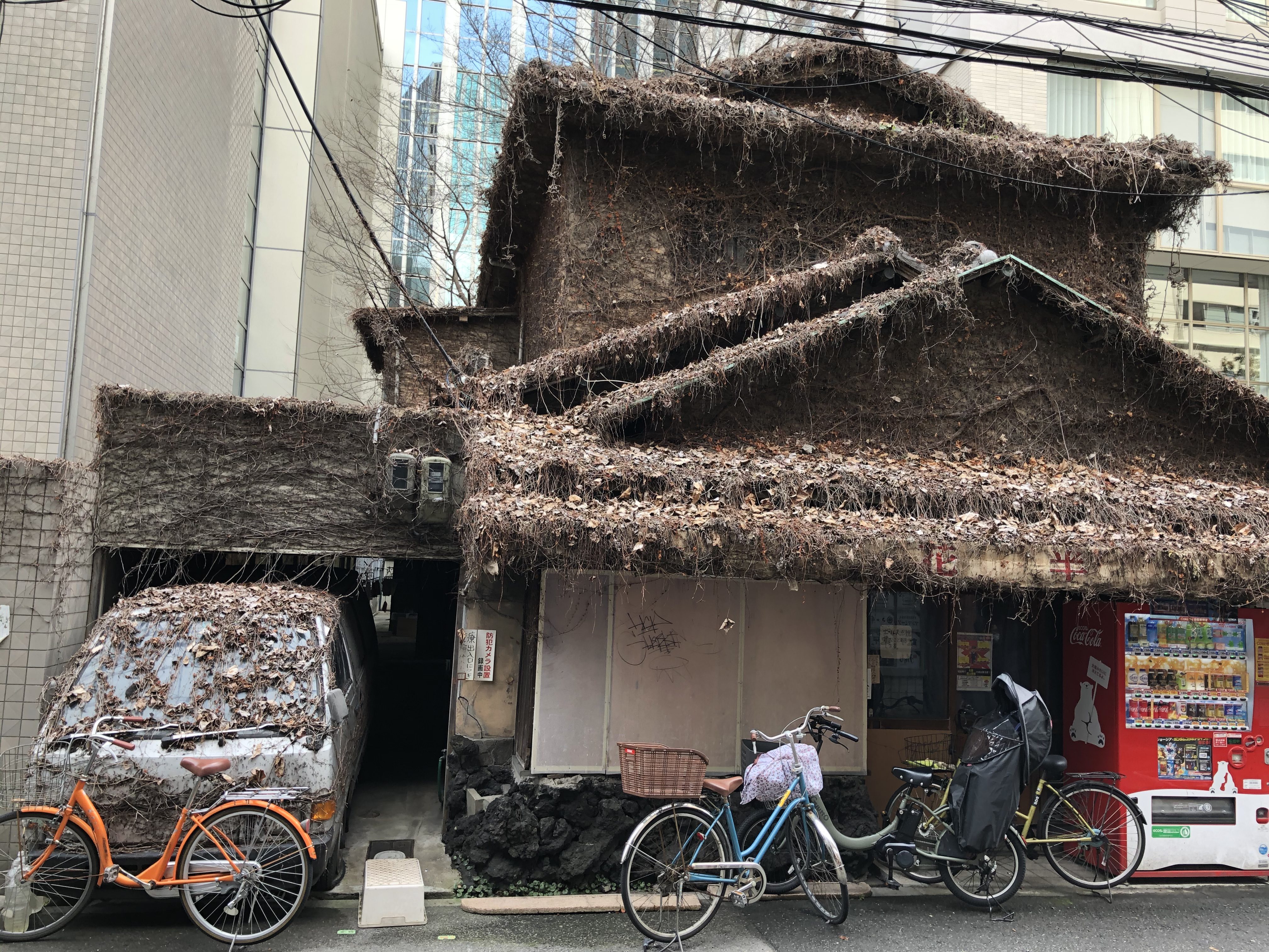 こんなもの発見！　⑥絶句！ここが梅田北新地とはとても…！　⑦都会に出現！まさに「緑に囲まれた家」