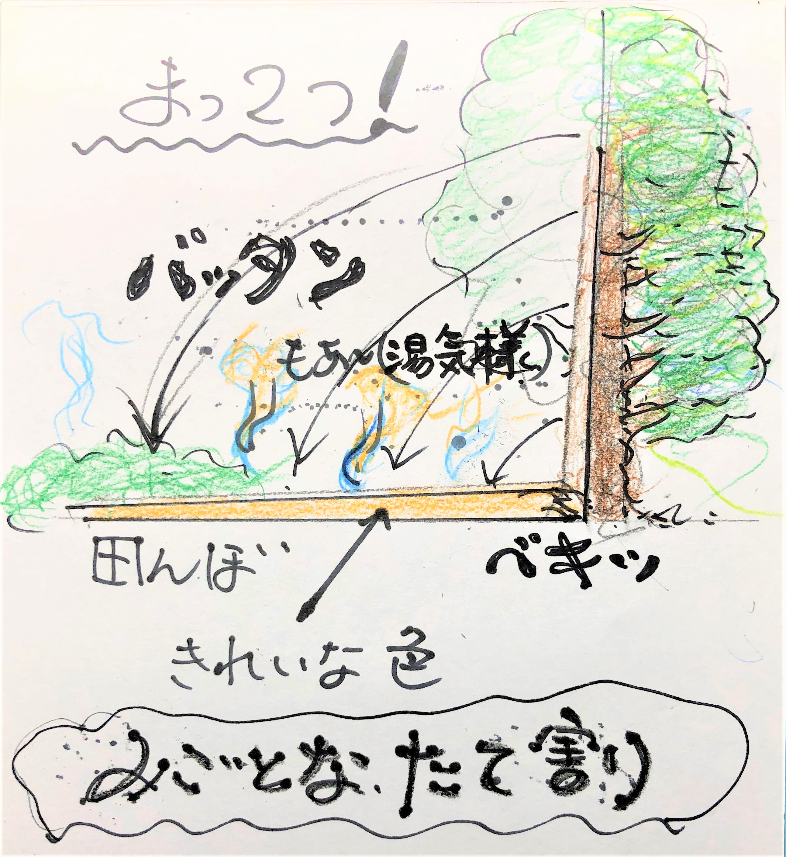 ほんまかいなシリーズ…23　～雷で巨木が真っ二つ事件の巻～