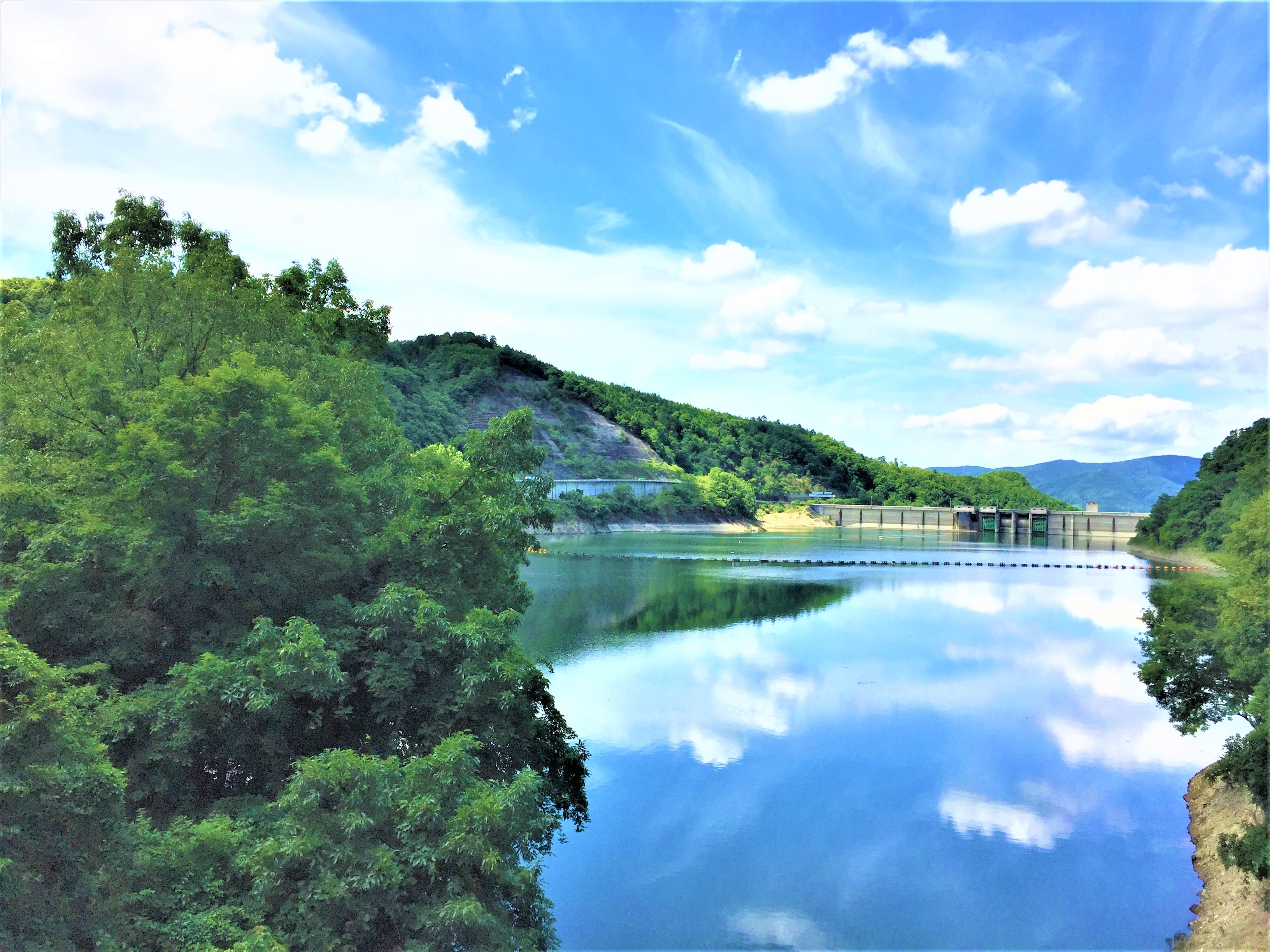 ８月の特集 　　夏季のあるある･･･こんな時の対策法